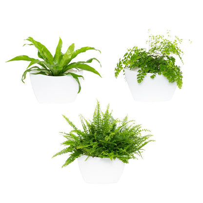 Jardín Vertical Modular Citysens Con Riego Manual De 3 Macetas – Blanco, Polipropileno 100% Reciclado