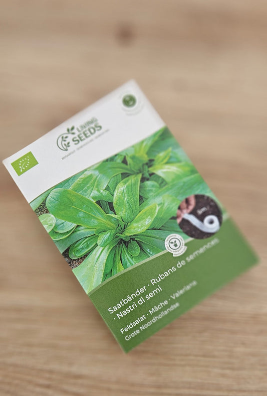 Tira De Semillas Canónigos_0