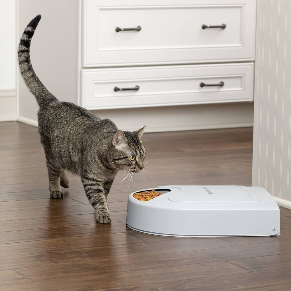 Petsafe Comedero Para Mascotas 5 Comidas Eatwell Con Temporizador Gris_1