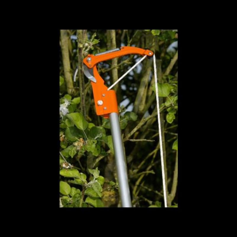 Tijera Cortarramas P34 27a_1