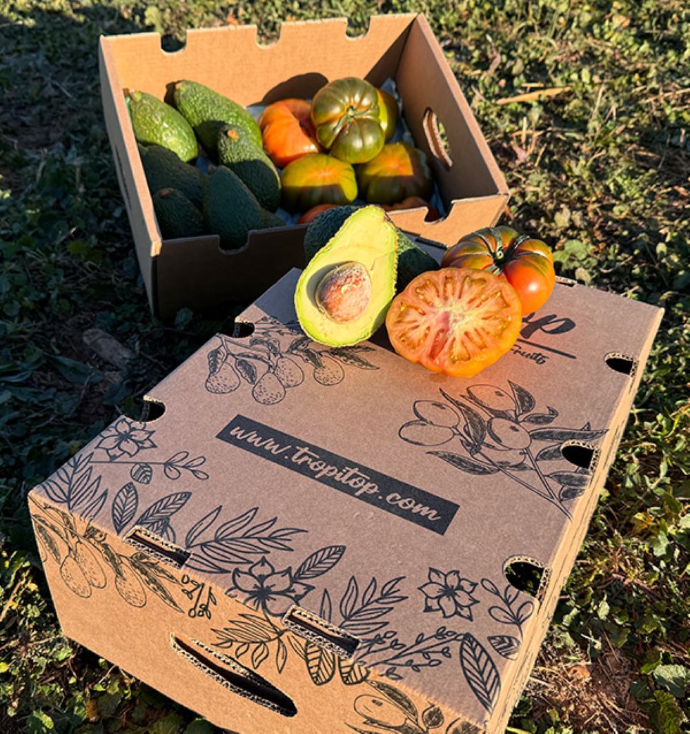 Caja 4kg Mix Aguacates Hass Y Tomate Raf | 2kg De Cada Fruta Tropitop_5