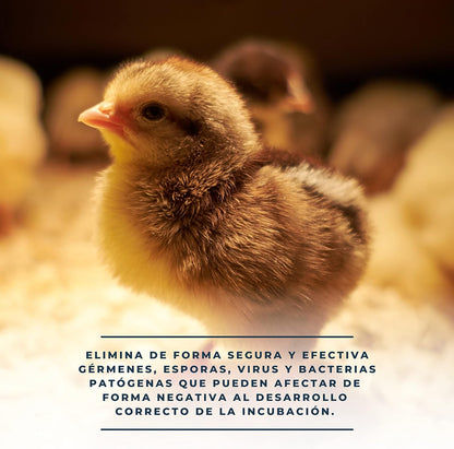 Ovaclean - Desinfectante Para Limpiar Huevos Y Material De Incubación_4