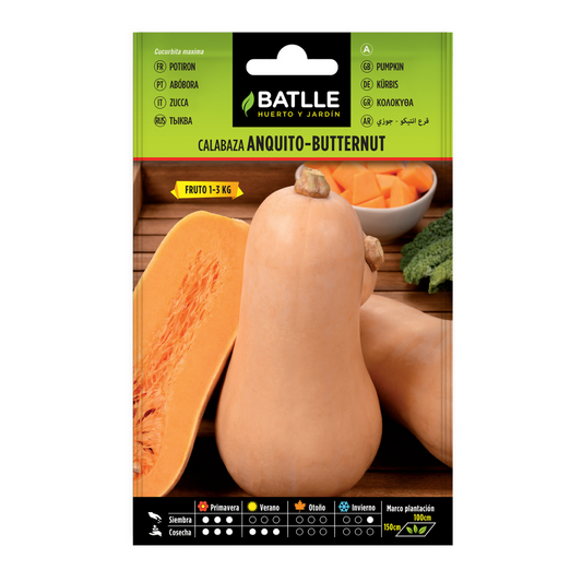 Semillas de Calabaza Anquito-Butternut Batlle