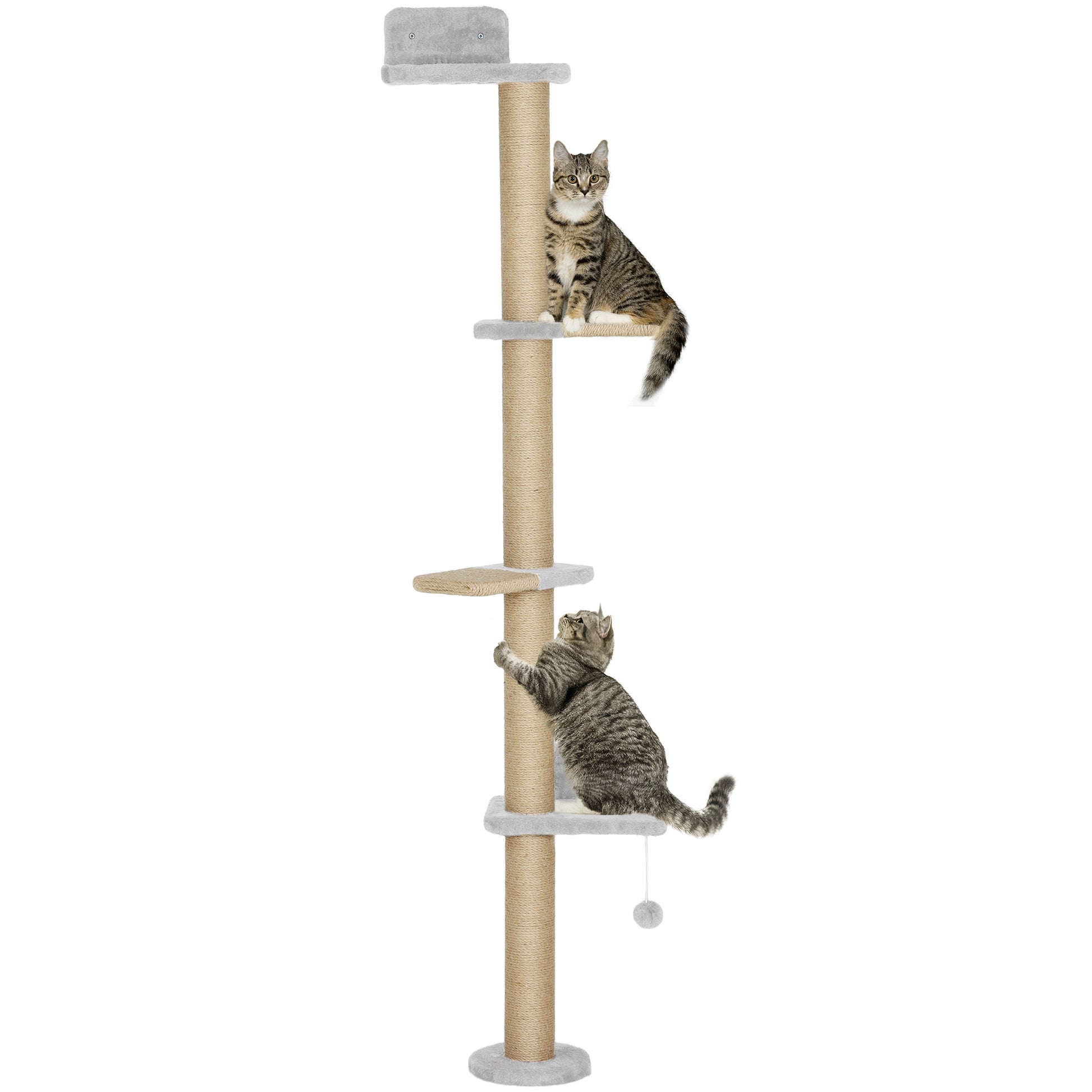 Pawhut Árbol Para Gatos De Pared De 5 Niveles_0