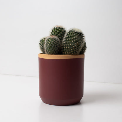 Macetero de Terracota Rojo Ciruela 13 cm – Hecho a Mano por Artesanos, Maceta Decorativa - Resetea_1