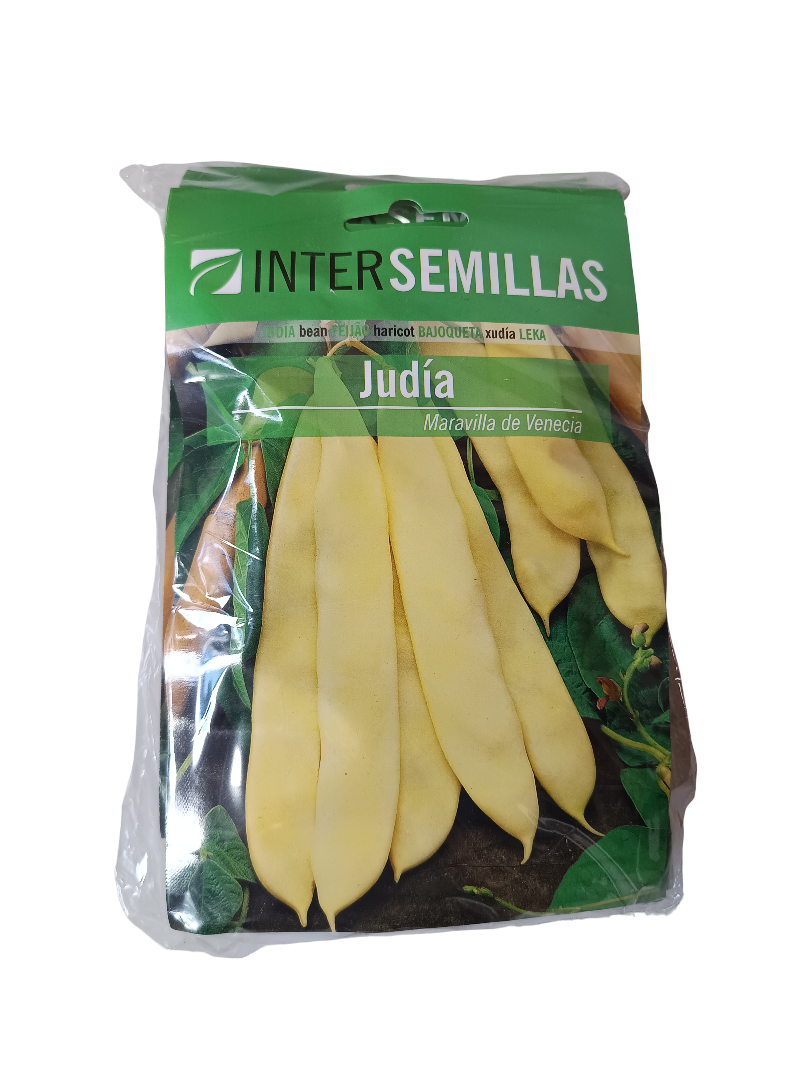 Semillas De Judia Maravilla De Venecia