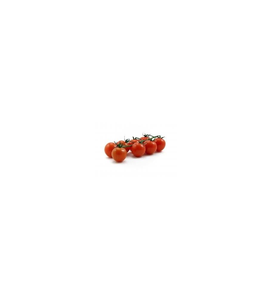 Plantón Tomate Cherry (10 Unidades)_1