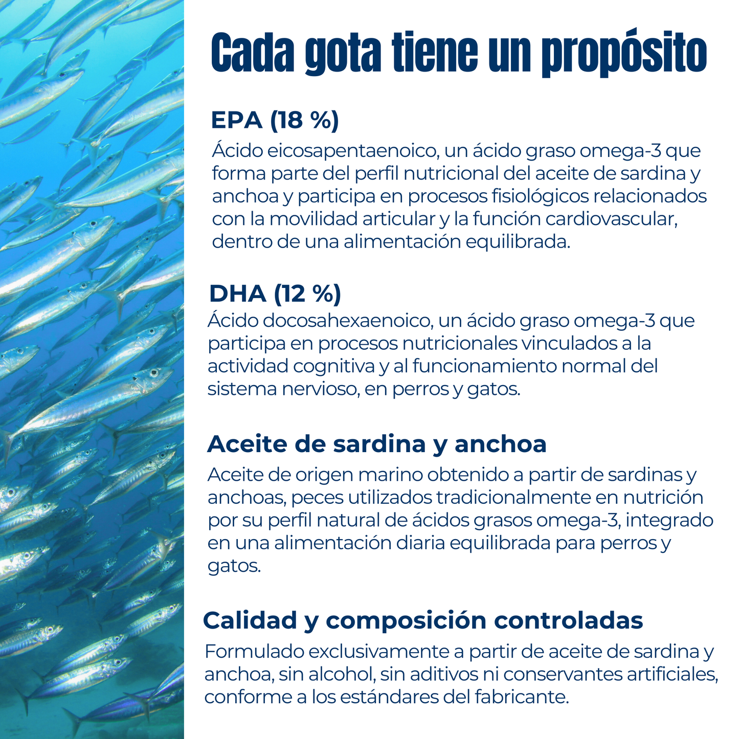 Suplemento natural Omega-3 para perros y gatos – Aceite de sardina y anchoa salvaje 200 ml_3