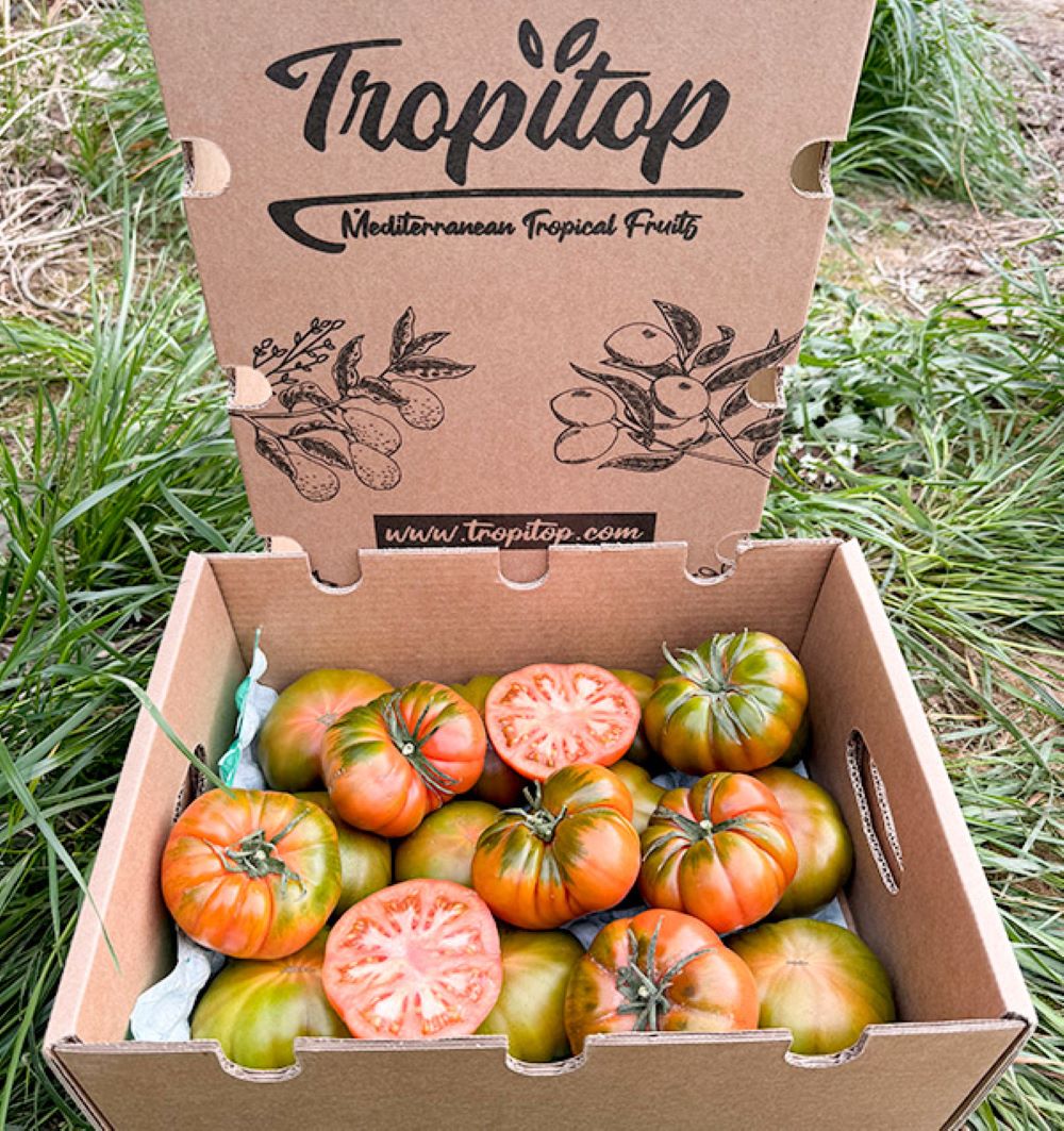 Caja De Tomates Raf De Temporada Tropitop Caja De 3kg_1