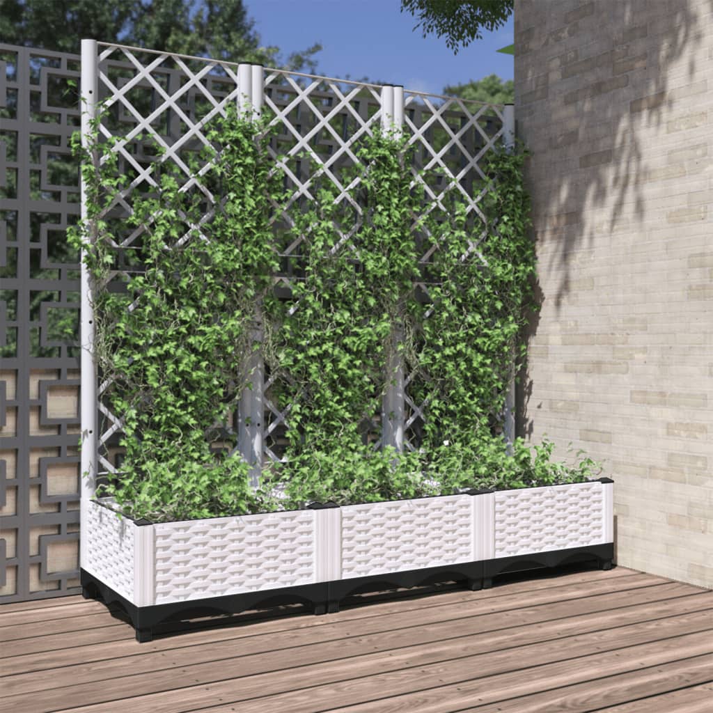 Jardinera De Jardín Con Enrejado Blanco 120x40x121,5 Cm Pp_1