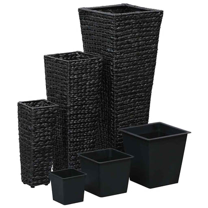 Conjunto De Arriates 3 Piezas Jacinto De Agua Negro_0