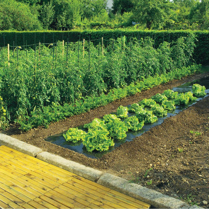 Film de acolchamiento microperforado Terrafilm Nortene 1,4 x 10 m