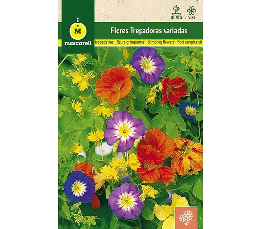 Semillas Flores Trepadoras Variadas_0