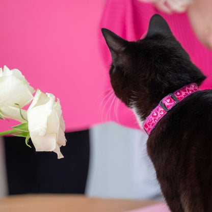 Collar Para Gato Fashioncat Estampado Rosa Rogz Ajustable 20-31cm