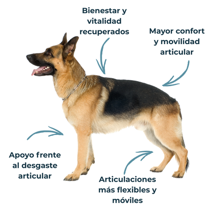 Condroprotector para perros y gatos – Movilidad y articulaciones – 100 g_3