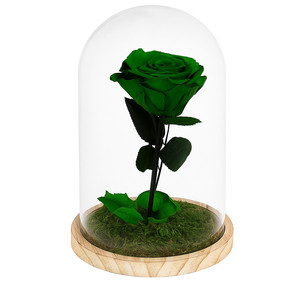 Mundo Eterno Rosa En Cúpula Verde 12x20cm