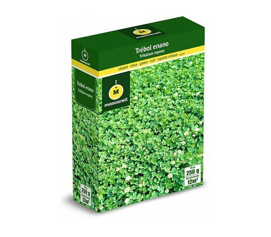 Semillas Trébol Blanco Enano Huia_0