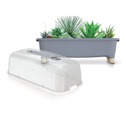 Huerto Doméstico/Jardinera Baja con Tapa de Policarbonato para Proteger tus Plantas - Prosperplast Respana Planter Wood Low de Plástico_3