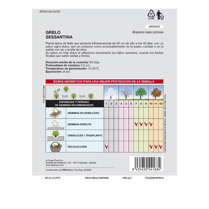 Semillas Grelo Brocoli (10 Gramos) Semillas Verduras, Horticultura, Horticola, Semillas Huerto.