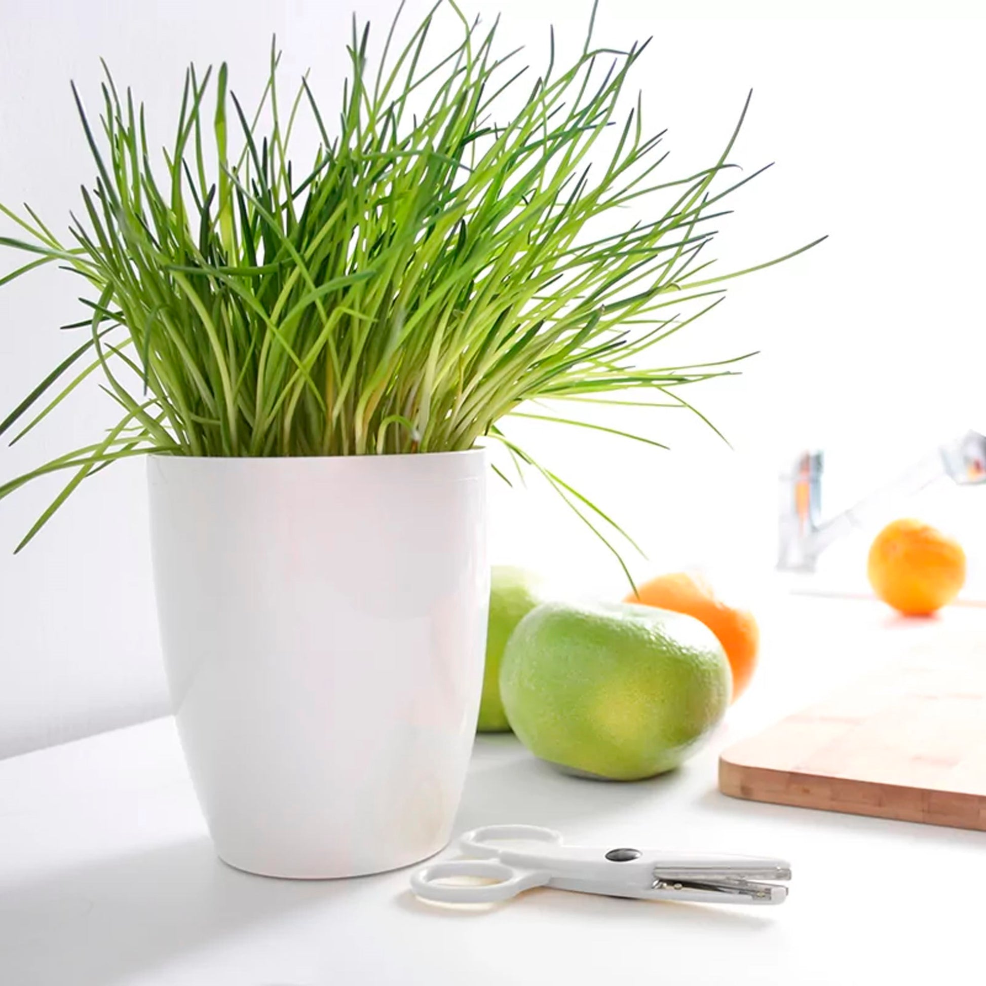 Maceta Coubi Orchid 2,4l., Dimensiones (mm) 160x160x183, Color Blanco_4