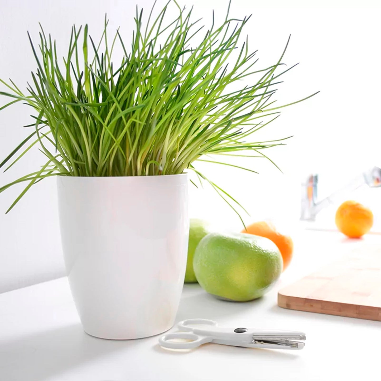 Maceta Coubi Orchid 1,5l., Dimensiones (mm) 132x132x160, Color Blanco_4