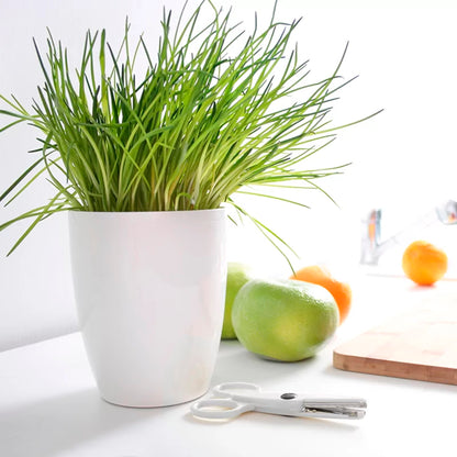 Maceta Coubi Orchid 2,4l., Dimensiones (mm) 160x160x183, Color Grafito_4