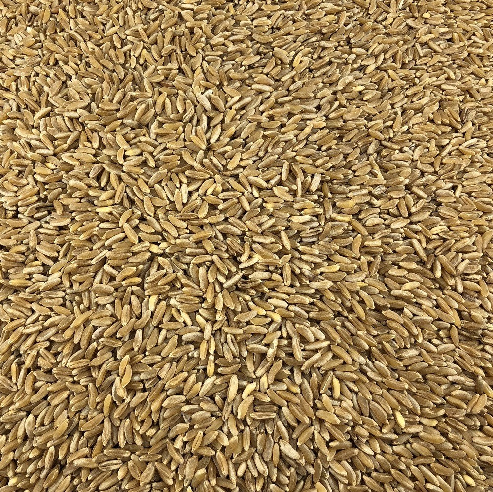 Trigo Antiguo Ecológico A Granel 25 Kg_2