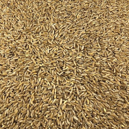 Trigo Antiguo Ecológico A Granel 25 Kg_2