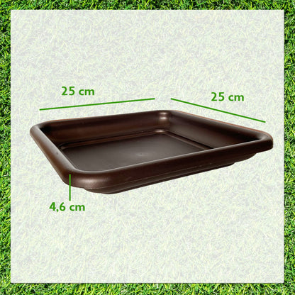 Plato Quadro Vulcano Zanvic Bronce 25 X 25 X 4,6 Cm Fabricada En Plástico