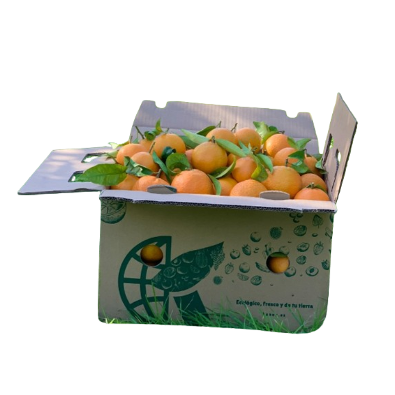 Naranjas Y Mandarinas Premium De La Huerta Valenciana Caja De 10 Kgs Recien Recogidas 24 Horas Antes De Ser Mandadas, Del Campo A Tu Mesa_1