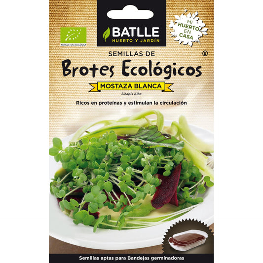 Semillas de Mostaza Blanca ecológicas para germinados Batlle