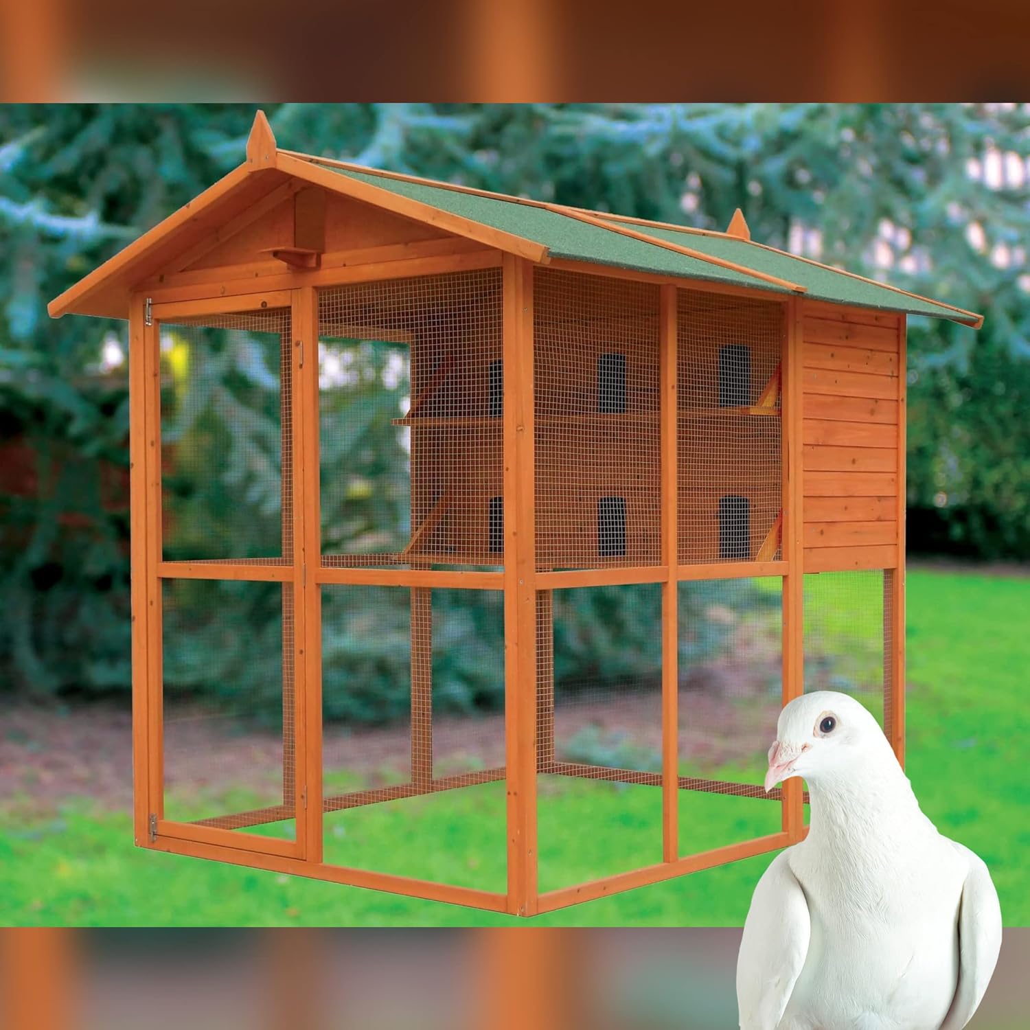 Voladero Para Palomas Bizet_0