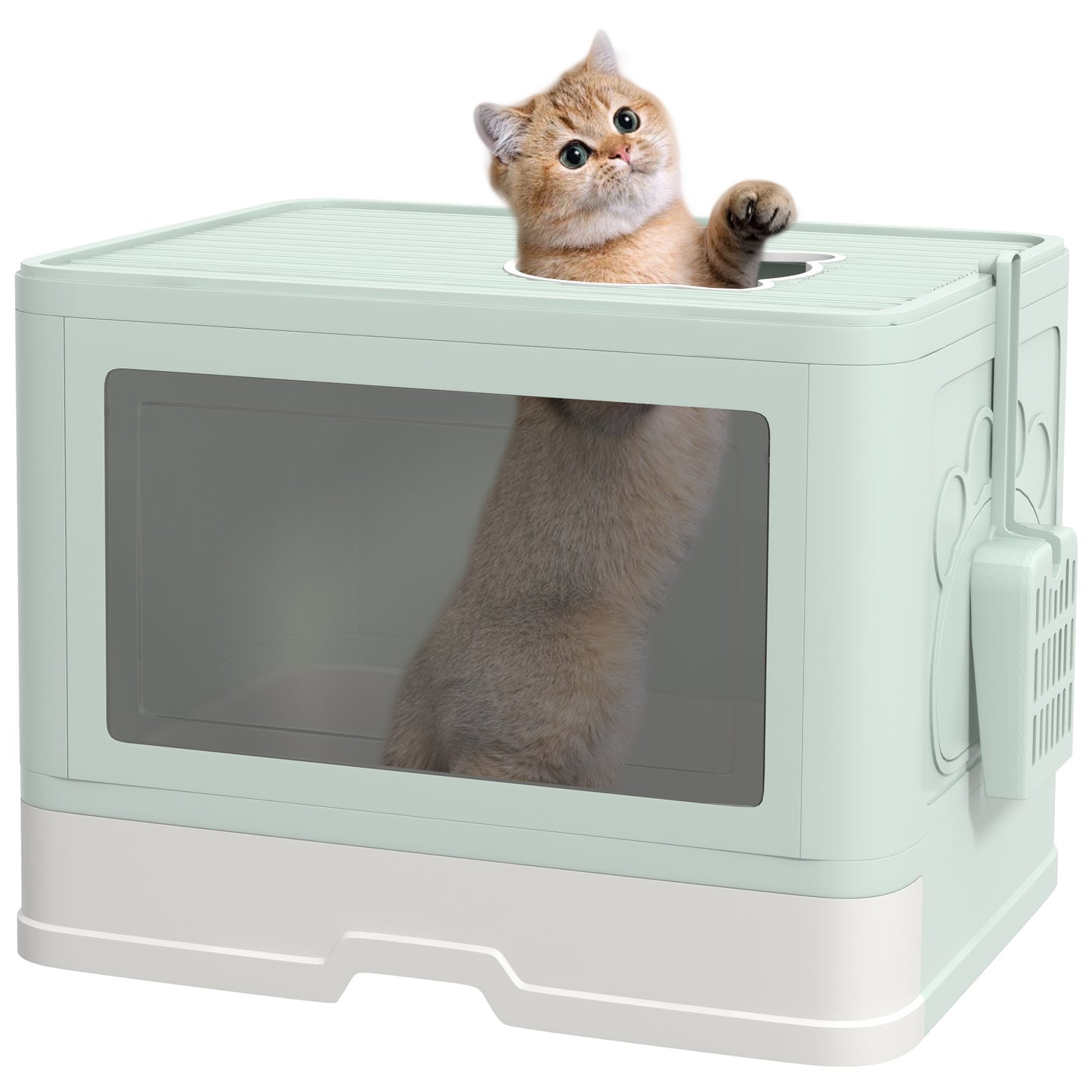 Pawhut Arenero Para Gatos Cubierto Con Caja Pala Cepillo 48,5x38x36,5 Cm Verde_0