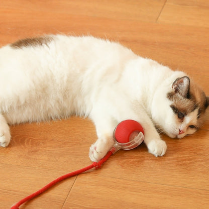 Intimeg - Juguete Para Gatos Pelota Automática Para Gatos_4