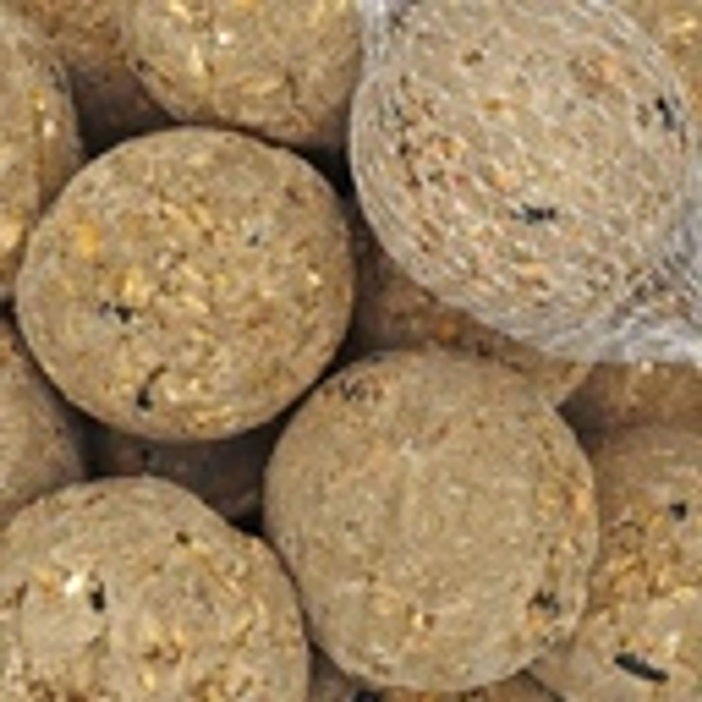Set Comida Pájaros Alta Energía 10 Kg Sebo Con Semillas, Pasas, Cacahuetes Y 100 Bolas De Grasa_2