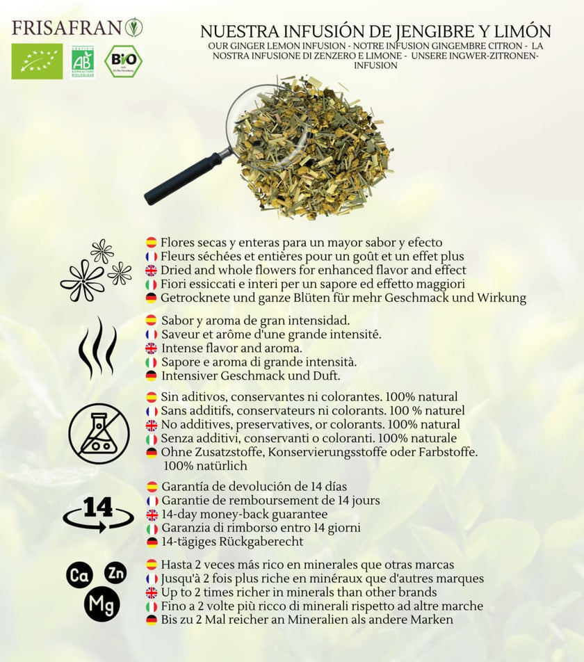Infusión De Jengibre-limón |pirámides | Calidad | Frisafran 15 Uds_3
