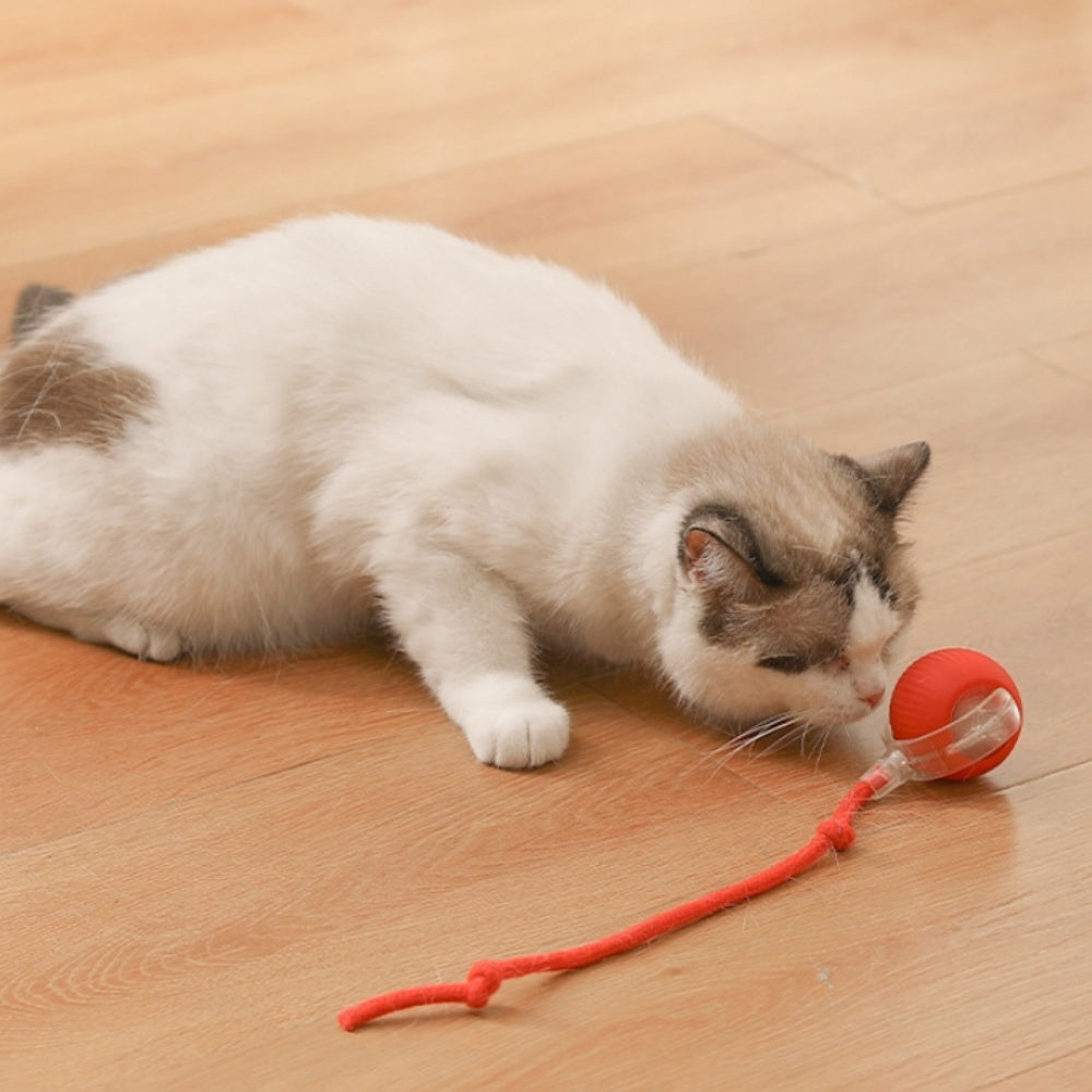 Intimeg - Juguete Para Gatos Pelota Automática Para Gatos_2