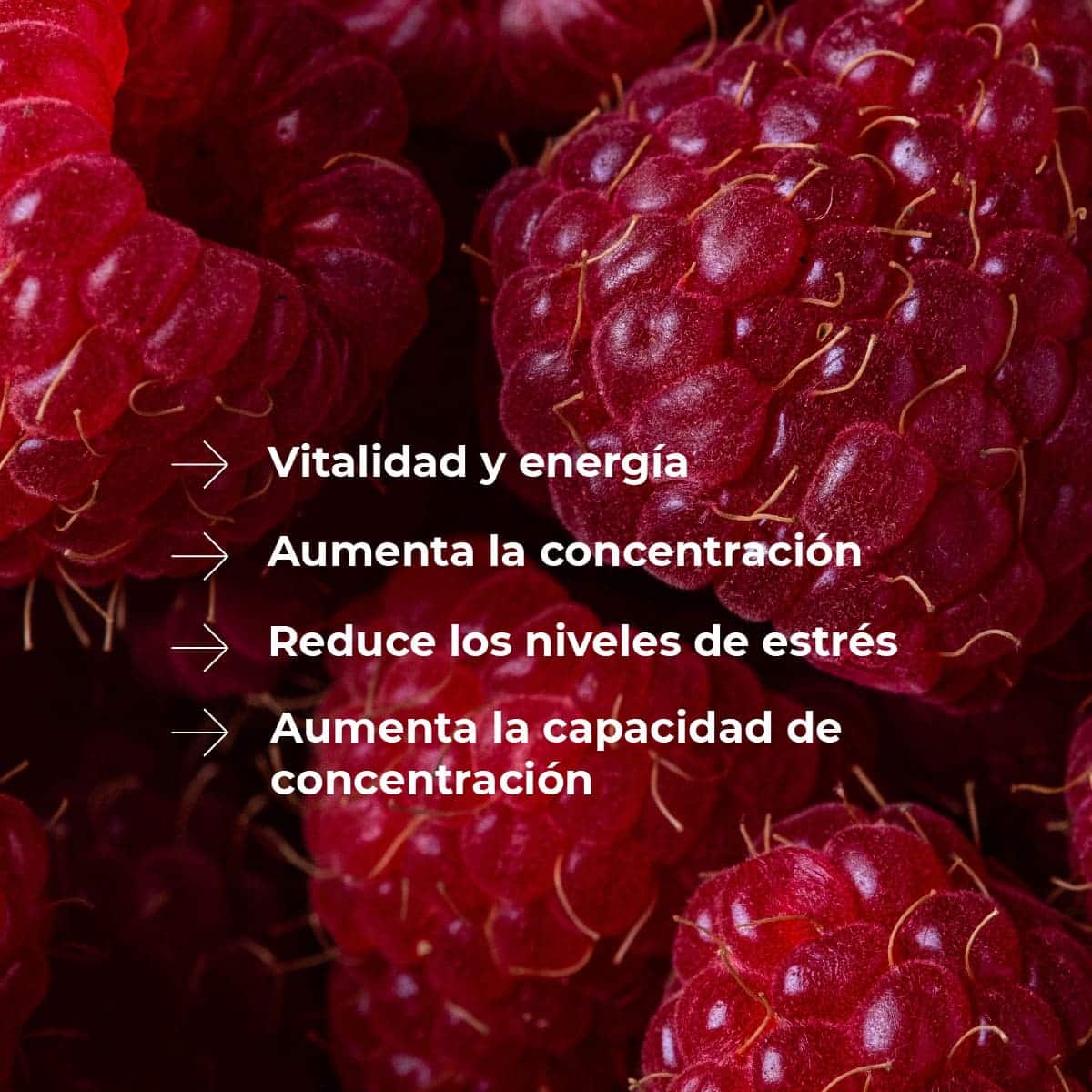 Recambio Mikado Frutos Rojos Mármol SYS Aromas 200 ml | Con Palos | Aroma Afrutado y Dulce | Estimulante_1