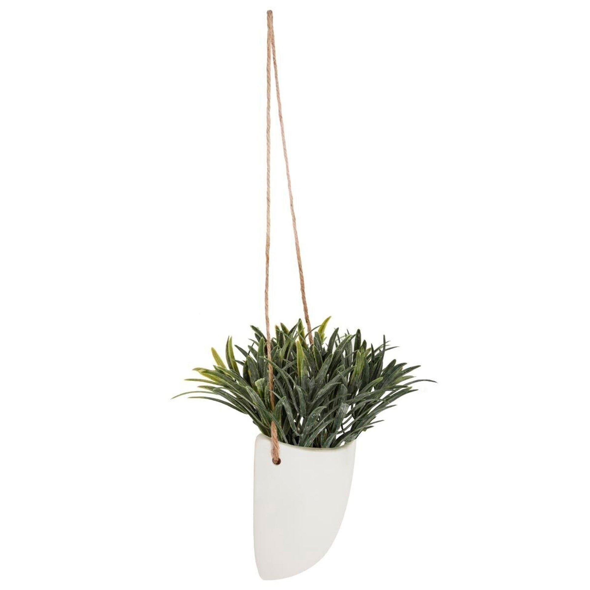 Planta De Pared Colgante H20_3