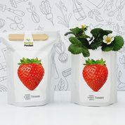 Kit huerto pocket: Fresones