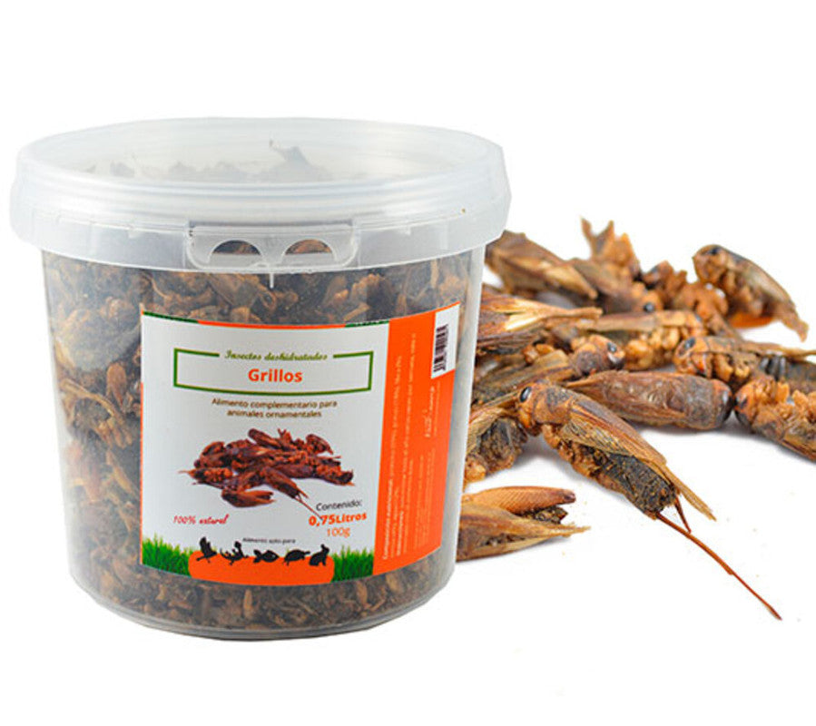 Grillos. Insectos Secos Para Alimentación De Gallinas, Patos, Aves De Corral (100 G)_0