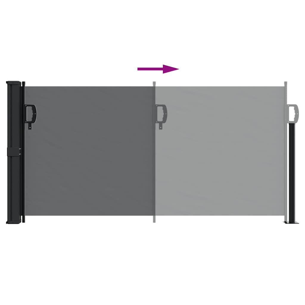 Vidaxl Toldo Lateral Retráctil Negro 100x300 Cm_4