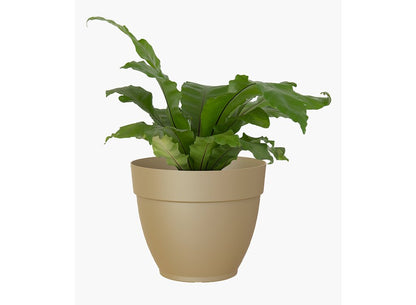 Artevasi Macetero Verde Plástico Campana Capri 20cm_2