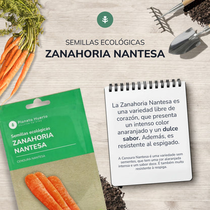 Semillas de Zanahoria Nantesa ecológicas Planeta Huerto
