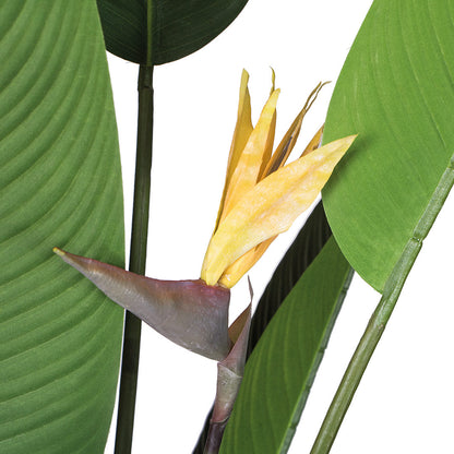 Planta Artificial Ave Del Paraíso - Decoración Sin Mantenimiento 1.85 M / Multicolor_0