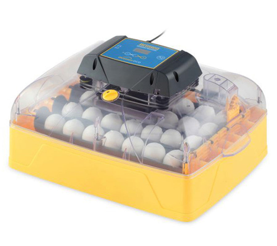 Incubadora Brinsea Ovation 28 Eco Digital Y Con Volteo Automático Con Capacidad Para 28 Huevos De Gallina_0