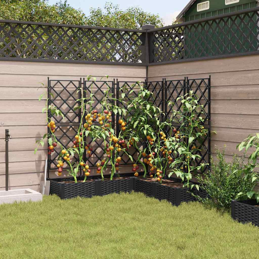 Macetero De Jardín 5 Uds. Negro 120 X 120 X 125,5 Cm Pp_2