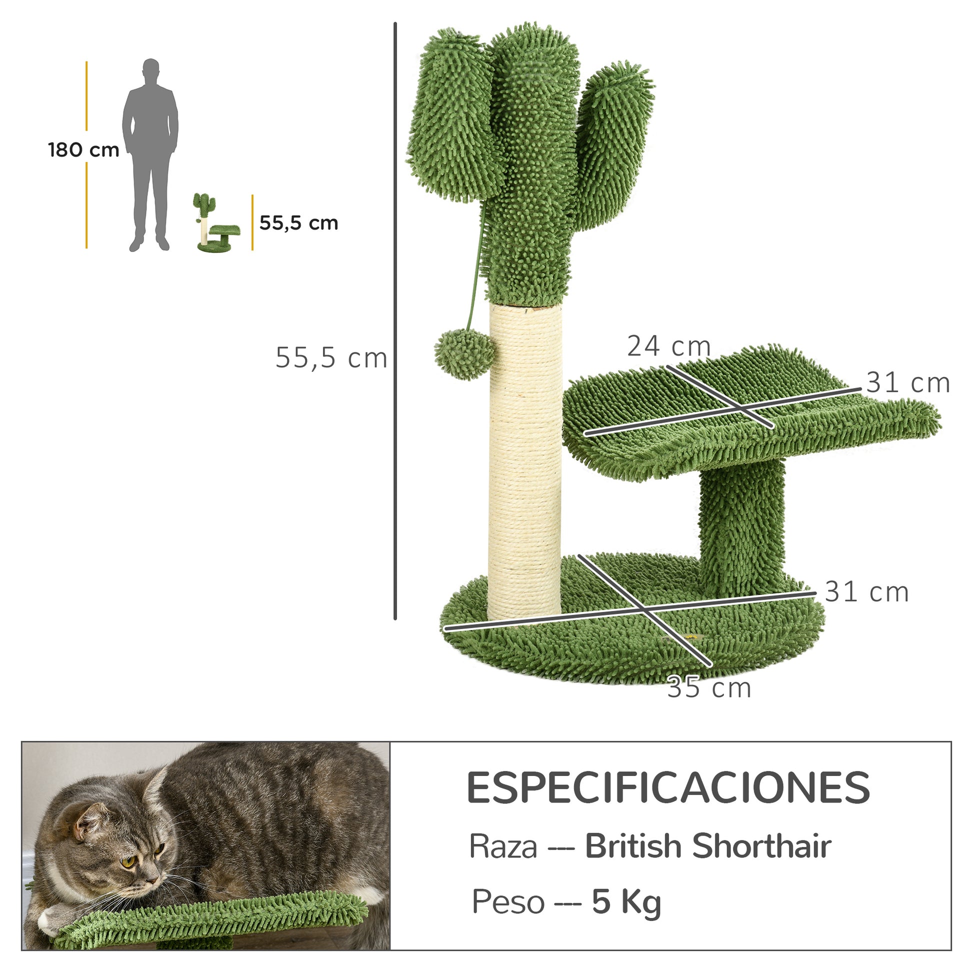 Pawhut Árbol De Cactus Para Gatos 55,5 Cm Con Postes De Sisal Cama Bola Verde_2
