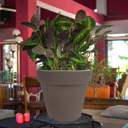 Macetero De Polietileno Por Rotomoldeo Color Topo 35x30 Cm_4