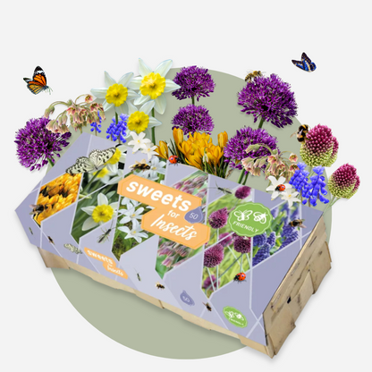 Bulbos Para Insectos - Mezcla De 50 - Resistentes Y Perennes